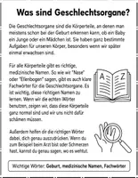 Vorschau - Arbeitsblätter - Geschlechtsorgane kindgerecht erklärt : Leseverständnis und Wortsuchrätsel mit Lösungen - Seite 2