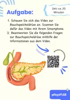 Vorschau - Arbeitsblätter - Die Bauchspeicheldrüse - Arbeitsheft Pflege & Biologie mit Fallbeispielen (Detektiv-Arbeit), QR-Code & Lösungen - Seite 1