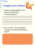 Vorschau - Arbeitsblätter - Die Bauchspeicheldrüse - Arbeitsheft Pflege & Biologie mit Fallbeispielen (Detektiv-Arbeit), QR-Code & Lösungen - Seite 2
