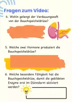 Vorschau - Arbeitsblätter - Die Bauchspeicheldrüse - Arbeitsheft Pflege & Biologie mit Fallbeispielen (Detektiv-Arbeit), QR-Code & Lösungen - Seite 3