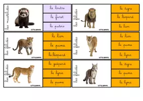 Aperçu - Apprentissages en autonomie - cartes-a-pinces-les-animaux-sauvages - Page de couverture