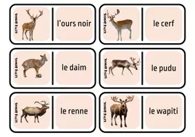 Aperçu - Jeux - domino - les animaux sauvages - Page de couverture