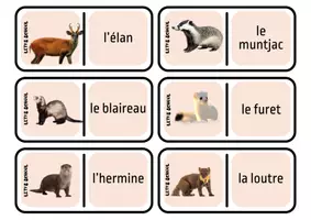 Aperçu - Jeux - domino - les animaux sauvages - Page 2