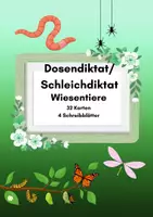 Vorschau - Stundenentwürfe - Dosendiktat / Schleichdiktat Wiesentiere 🌼 Schreiben & Sachunterricht (32 Karten + 2 Lineaturen) - Deckblatt