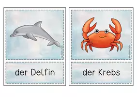 Vorschau - Bildkarten - Bild- / Wortkarten zum Themenbereich Unterwasser - Seite 1