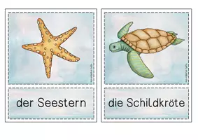 Vorschau - Bildkarten - Bild- / Wortkarten zum Themenbereich Unterwasser - Seite 2