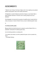 Vorschau - Test - 2 alternative Klausurvorschläge mit EWH, gender equality, tradwives, mock exam, Abitur Englisch, mündliche Abiturprüfung - Seite 1
