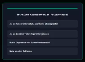 Vorschau - Spiele - Wissenpyramide - Fotosynthese - Seite 3