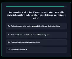 Vorschau - Spiele - Wissenpyramide - Fotosynthese - Seite 2
