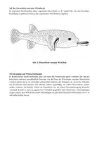 Vorschau - Klassenarbeiten - Klausur Photosynthese & Wechselbeziehungen – Oberstufe Biologie (editierbar) - Seite 2
