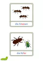 Vorschau - Präsentationen/Tafelbilder - Feinde - Schmetterling und Raupe Tafelmaterial / Bildkarten - Seite 2