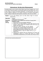 Vorschau - Stundenentwürfe - Stundenplanung: Untersuchung eines Bohnensamens (Struktur-Funktions-Zusammenhänge) inkl. Lehrkräftematerial, editierbar - Seite 2