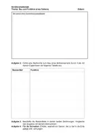 Vorschau - Stundenentwürfe - Stundenplanung: Untersuchung eines Bohnensamens (Struktur-Funktions-Zusammenhänge) inkl. Lehrkräftematerial, editierbar - Seite 3