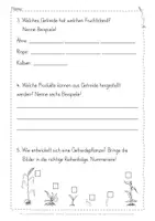 Vorschau - Arbeitsblätter - Getreide Test - Seite 3