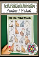 Vorschau - Poster - DIE KATZENRASSEN – Poster - Deckblatt