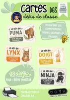 Aperçu - Cartes / Images - Outil les cartes des défis (nouvelle version) - Page de couverture
