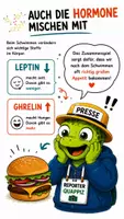Vorschau - Bildkarten - QUAPPIZ Kindernews - Warum macht Schwimmen hungrig? - Seite 2