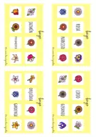 Vista previa - Tarjetas / Manipulativos - Bingo de flores - página 2