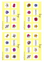 Vista previa - Tarjetas / Manipulativos - Bingo de flores - página 3