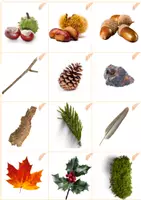 Aperçu - Apprentissages en autonomie - Chasse aux trésors Nature - observation - Page de couverture