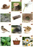 Aperçu - Apprentissages en autonomie - Chasse aux trésors Nature - observation - Page 1