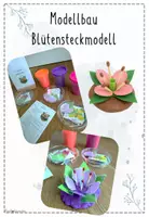 Vorschau - Unterrichtsreihen - Samenpflanzen - Blütenpflanzen | Biologie 5 | komplette Unterrichtsreihe | 11 sofort einsetzbare Unterrichtsstunden - Seite 2