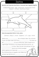 Vorschau - Unterrichtsreihen - Delfine - Arbeitsblätter, Lapbook & Wissenskartei - Seite 3