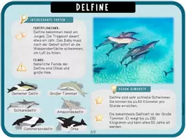 Vorschau - Unterrichtsreihen - Delfine - Arbeitsblätter, Lapbook & Wissenskartei - Seite 2