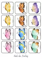 Vorschau - Spiele - Spiel Schmetterling: Finde den Zwilling - Deckblatt
