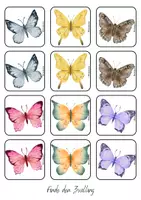 Vorschau - Spiele - Spiel Schmetterling: Finde den Zwilling - Seite 1