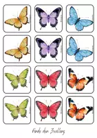 Vorschau - Spiele - Spiel Schmetterling: Finde den Zwilling - Seite 2