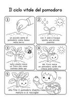 anteprima - Testo - "Leggo e imparo" - storie in sequenza sull'orto - Pagina 1