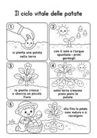 anteprima - Testo - "Leggo e imparo" - storie in sequenza sull'orto - Pagina 2