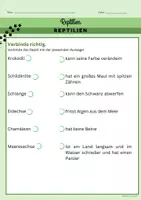 Vorschau - Arbeitsblätter - Reptilien_spannende Arbeitsblätter über Tiere mit Schuppen - Seite 3
