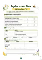Vorschau - Arbeitsblätter - Arbeitsblätter zum Film "Tagebuch einer Biene" - Deckblatt