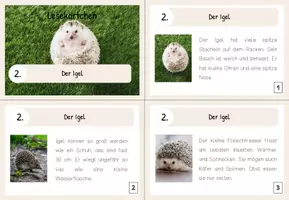 Vorschau - Aufgabenkarten - Lesekärtchen- Der Igel (+Silbenschrift) - Seite 1