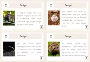 Vorschau - Aufgabenkarten - Lesekärtchen- Der Igel (+Silbenschrift) - Seite 2