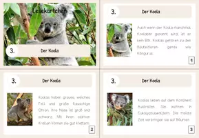 Vorschau - Aufgabenkarten - Lesekärtchen- Der Koala (+Silbenschrift) - Seite 1