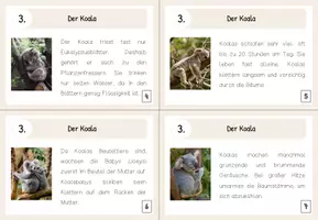 Vorschau - Aufgabenkarten - Lesekärtchen- Der Koala (+Silbenschrift) - Seite 2