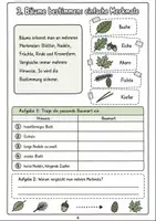 Vorschau - Arbeitsblätter - Lebensraum Wald Klasse 5-6: Sachtexte Themenheft - Seite 3