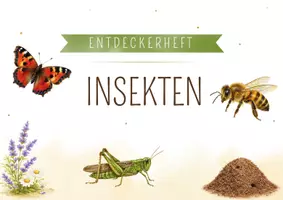 Vorschau - Spiele - Insekten Projektpaket | Arbeitsblätter Sortierspiel Puzzle Montessori |Lernheft Bildkarten Tiere Natur - Seite 1