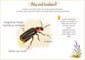 Vorschau - Spiele - Insekten Projektpaket | Arbeitsblätter Sortierspiel Puzzle Montessori |Lernheft Bildkarten Tiere Natur - Seite 2