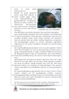 Vorschau - Arbeitsblätter - Arbeitsethik ⎮ Tang-Ping-Bewegung in China - Sachtext mit Aufgaben für Klasse 9 bis 10 - Seite 2