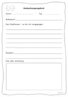 Vorschau - Arbeitsblätter - Bohnentagebuch - Dokumentation des Wachstums - Seite 2