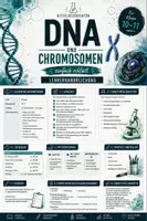 Vorschau - Stundenentwürfe - DNA&Chromosomen einfach erklärt | Arbeitsheft Genetik | Biologie Klasse 10-11 mit Lösungen - Seite 1
