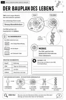 Vorschau - Stundenentwürfe - DNA&Chromosomen einfach erklärt | Arbeitsheft Genetik | Biologie Klasse 10-11 mit Lösungen - Seite 3