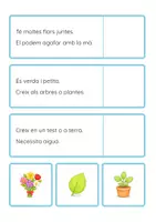 Vista previa - Hojas de trabajo - Comprensió lectora - Endevina la image - PRIMAVERA (pal, lligada i impremta) - página 3