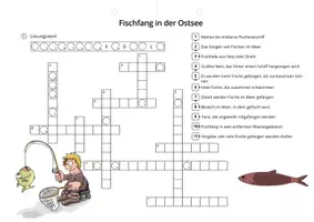 Vorschau - Spiele - Fischfang in der Ostsee - Deckblatt