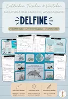 Vorschau - Unterrichtsreihen - Delfine - Arbeitsblätter, Lapbook & Wissenskartei - Deckblatt