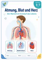Vorschau - Arbeitsblätter - Atmung, Blut und Herz – Der Mensch im Kreislauf des Lebens - Deckblatt
